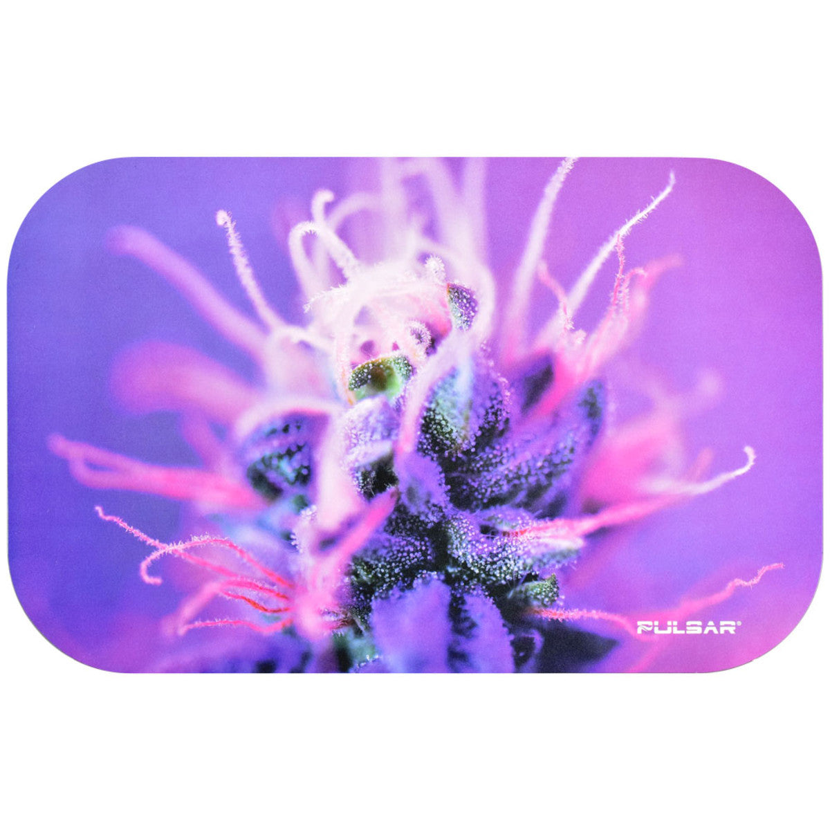 Pulsar Magnetic Rolling Tray Lids 11" x 7"