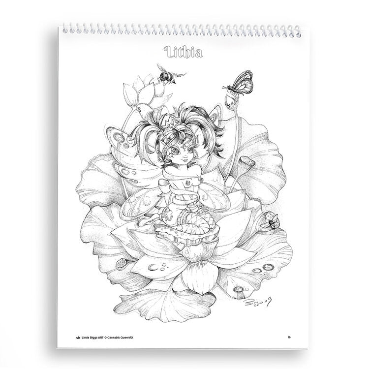 Linda Biggs Adult Coloring Book Volume 2