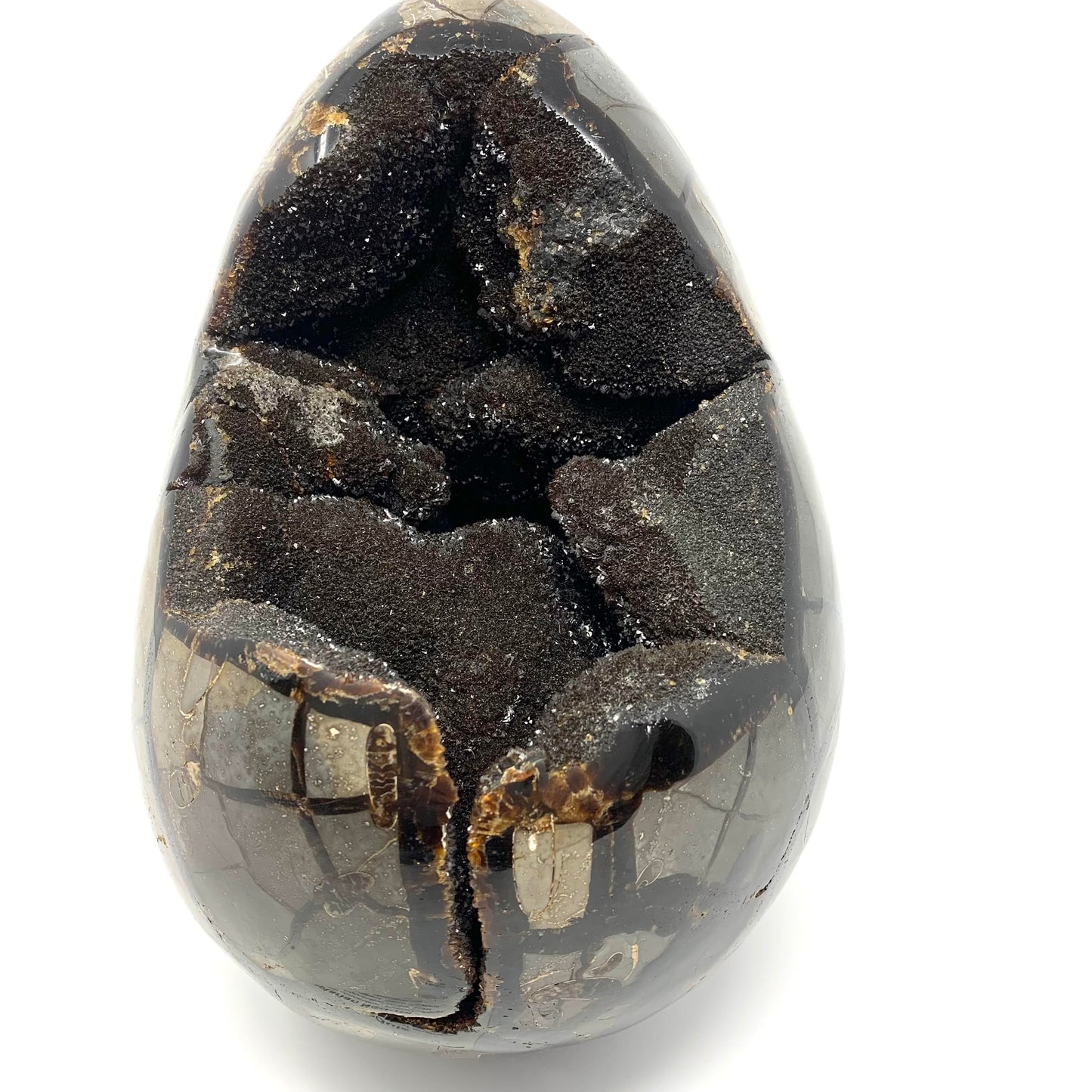 Septarian Egg/Nodule