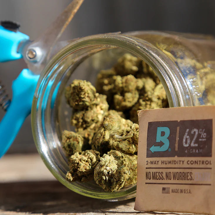 Boveda 4g 62% 2-Way Humidity Control Packs