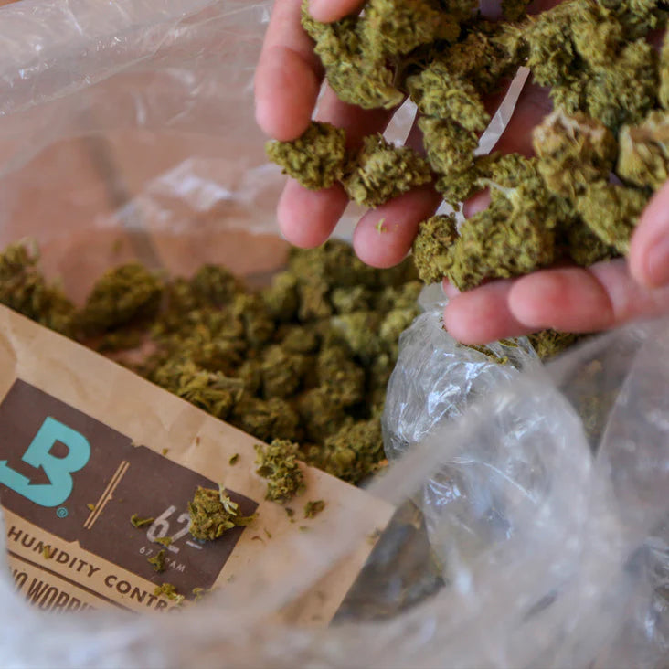 Boveda 67g 62% 2-Way Humidity Control Packs
