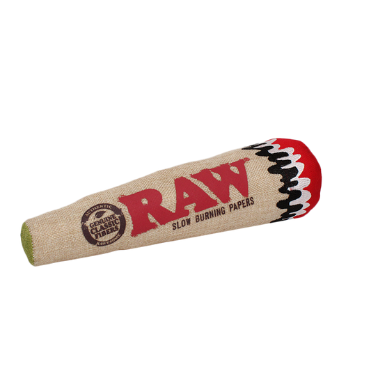 RAW Squeaky Cone Dog Toy