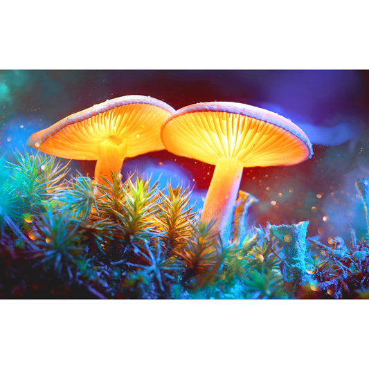 Pulsar Tapestry - Mystical Mushrooms