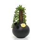 My Bud Vase - DeAngelo