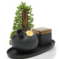 My Bud Vase - DeAngelo