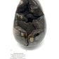 Septarian Egg/Nodule