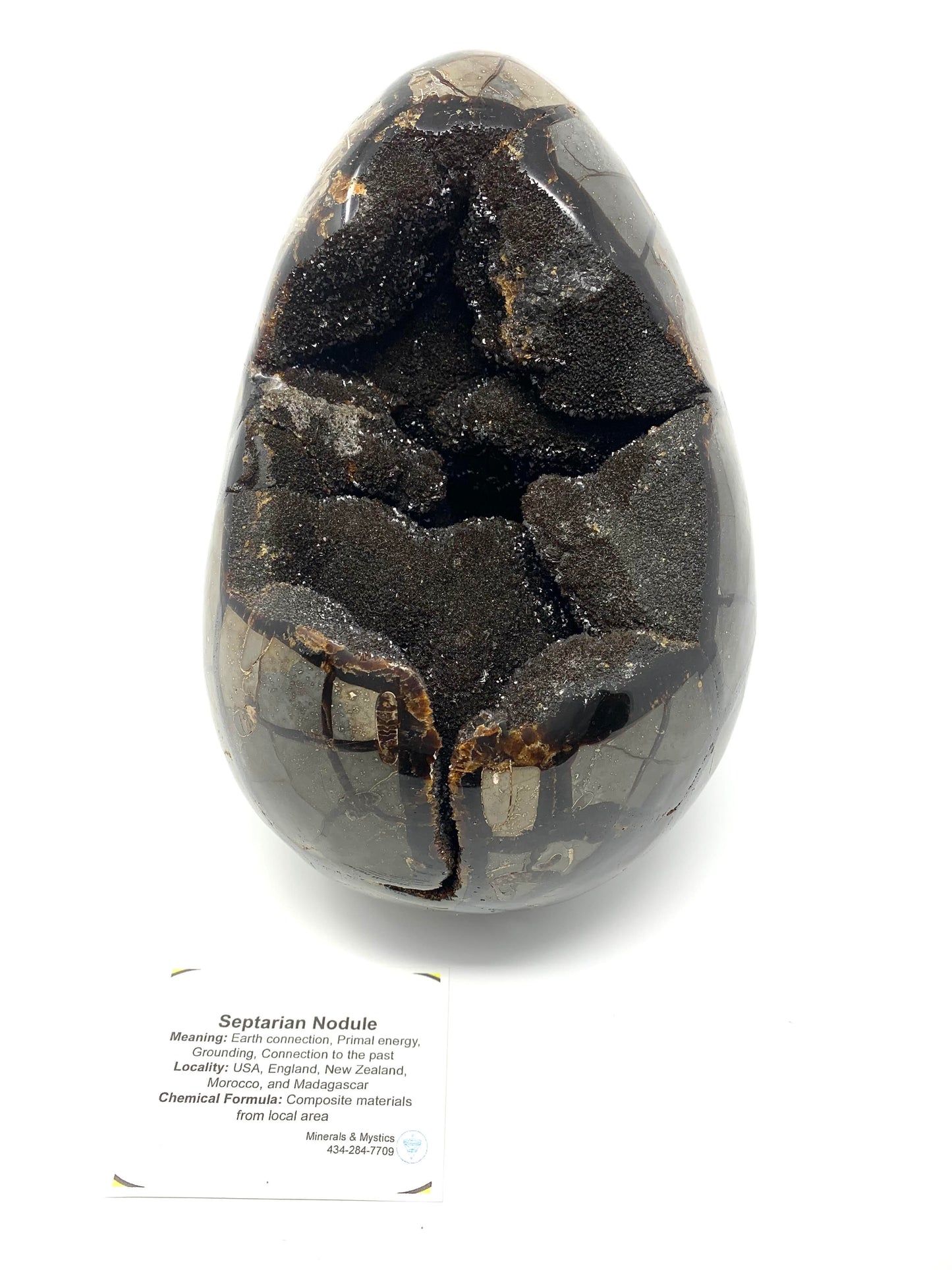 Septarian Egg/Nodule