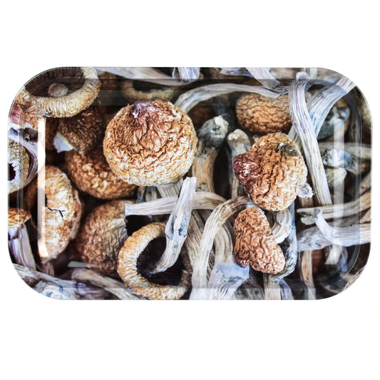 Pulsar Metal Rolling Tray - Shroom Collage