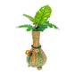 My Bud Vase - TocaCabana